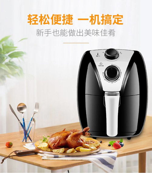 汤河店品夏2501电炸锅 无油健康烹饪新选择